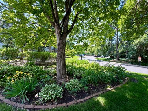 183 Little Canada Road E, 217, Saint Paul, MN 55117