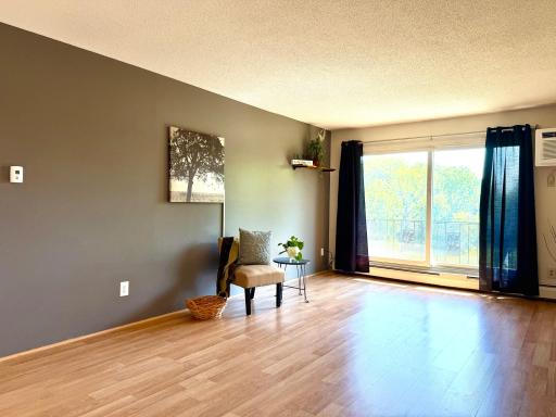 183 Little Canada Road E, 217, Saint Paul, MN 55117