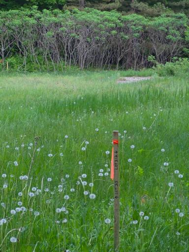 TBD Lot 312 & 313 197th Ave, Mcgregor, MN 55760