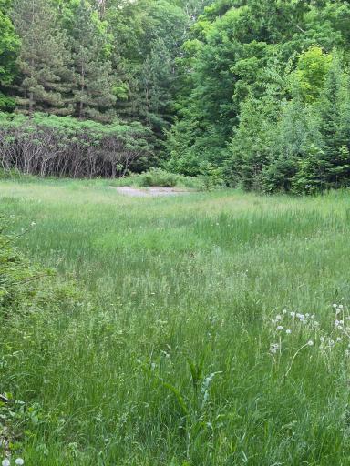 TBD Lot 312 & 313 197th Ave, Mcgregor, MN 55760