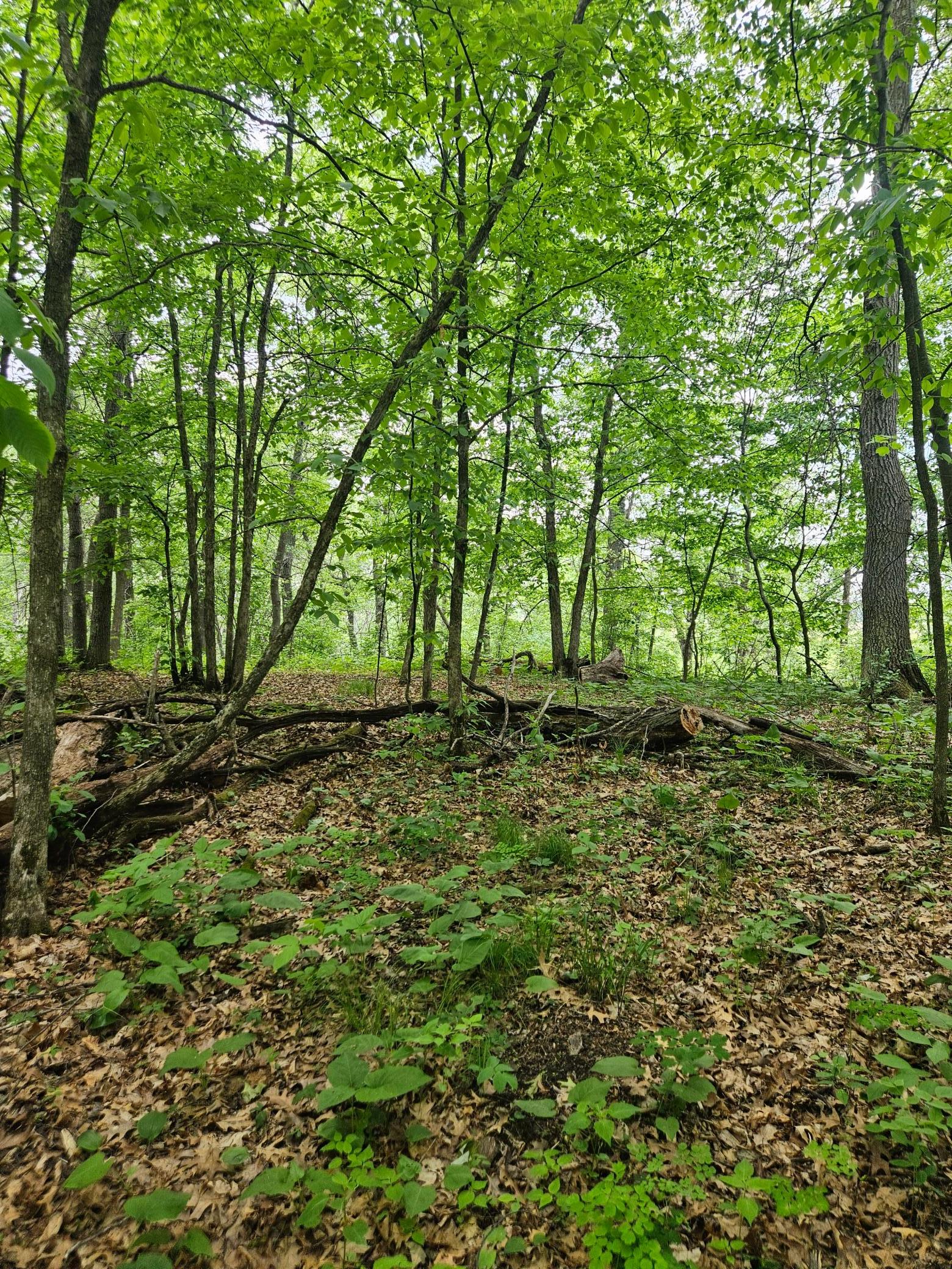 20250604_135605.jpg