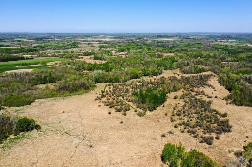 DJI_0591.jpg