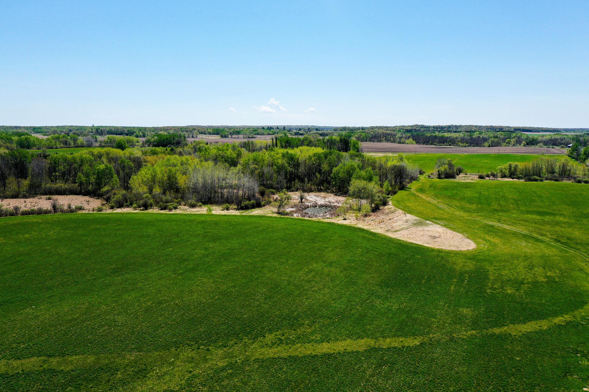 DJI_0607.jpg
