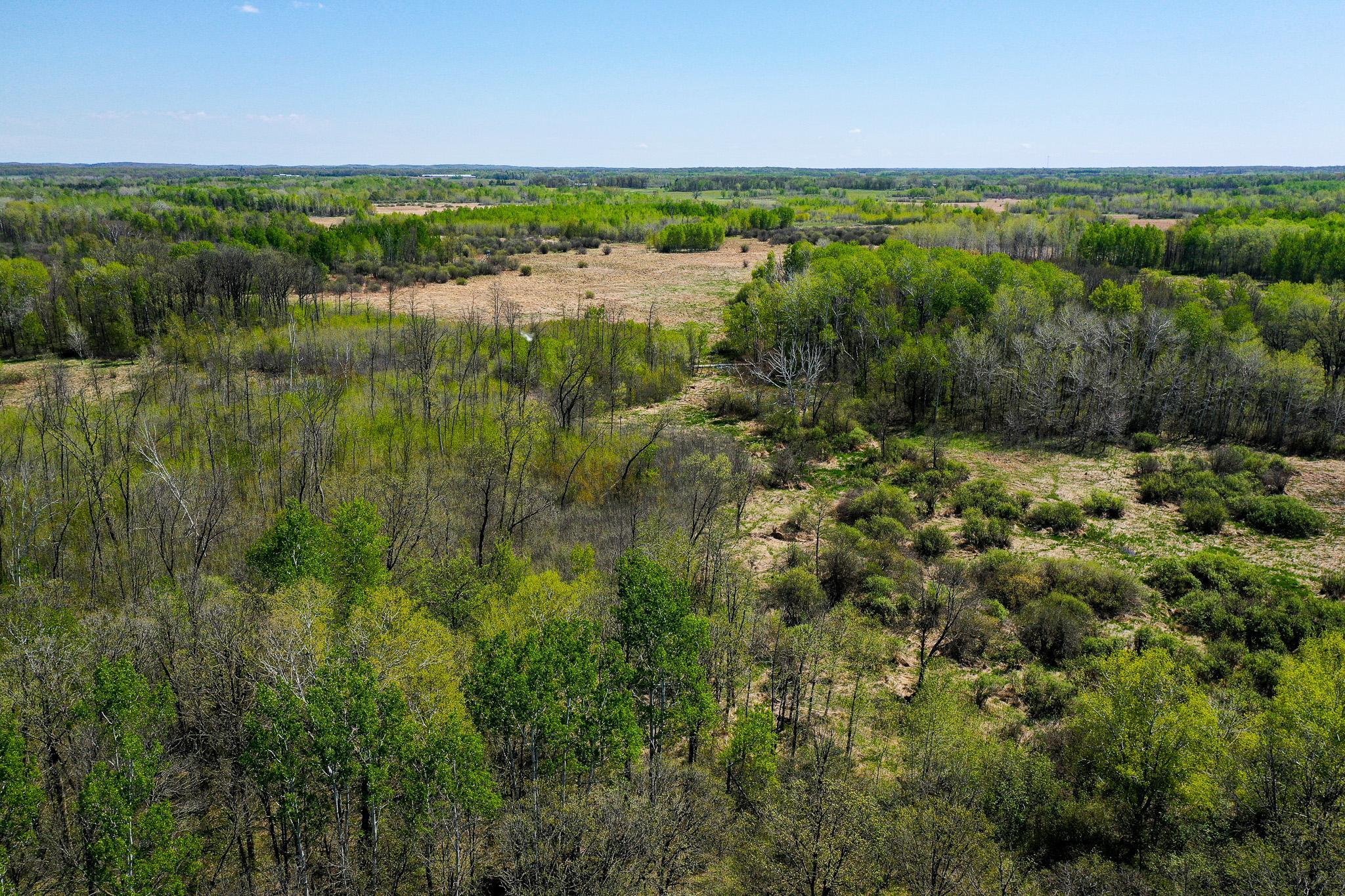DJI_0573.jpg