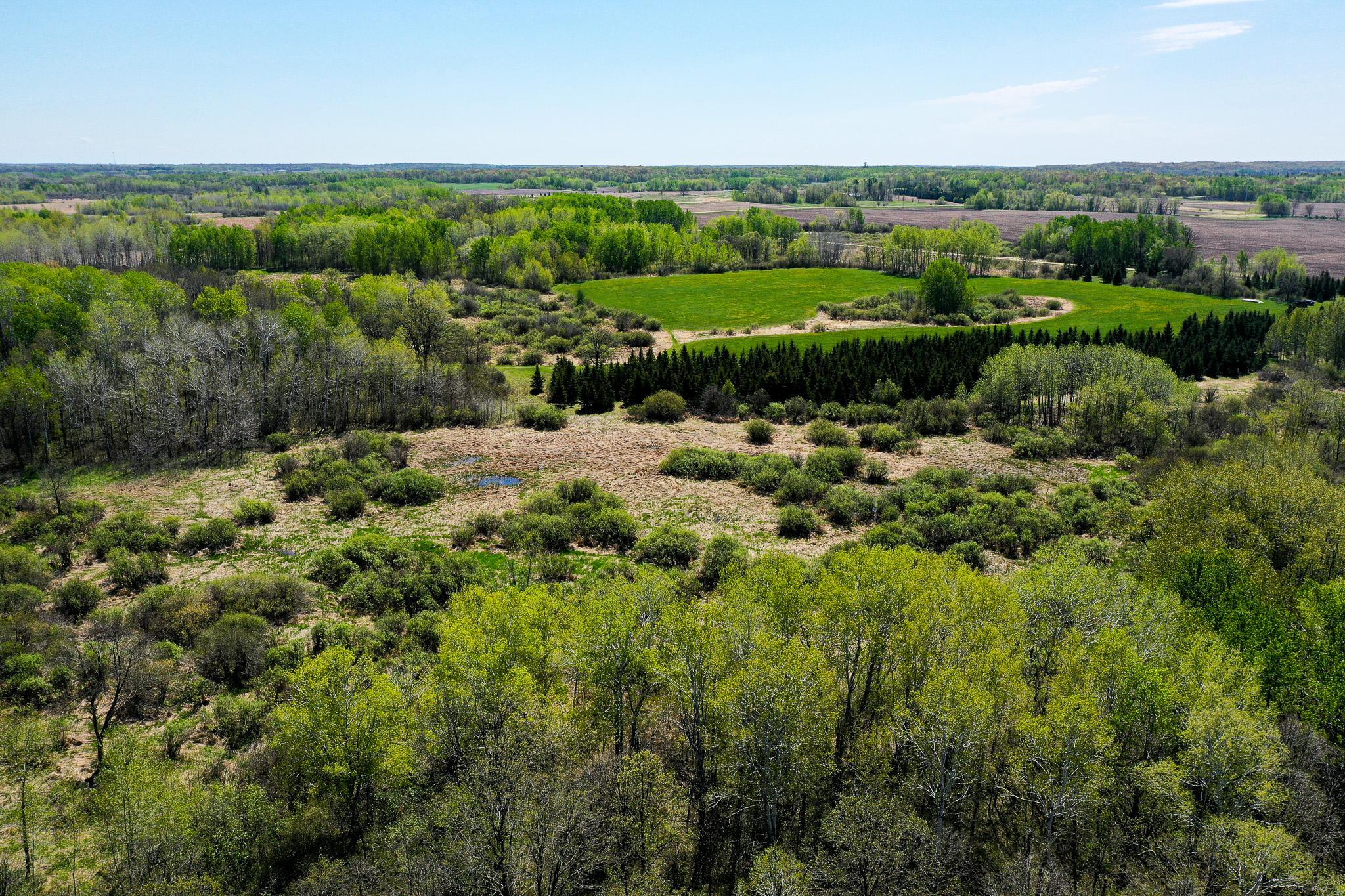 DJI_0572.jpg