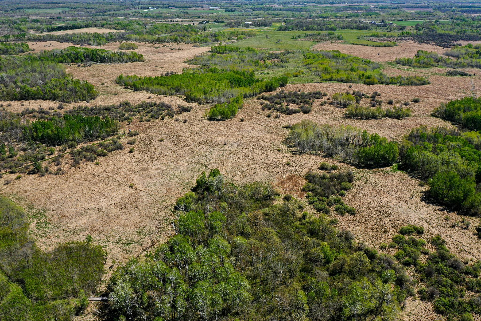 DJI_0580.jpg