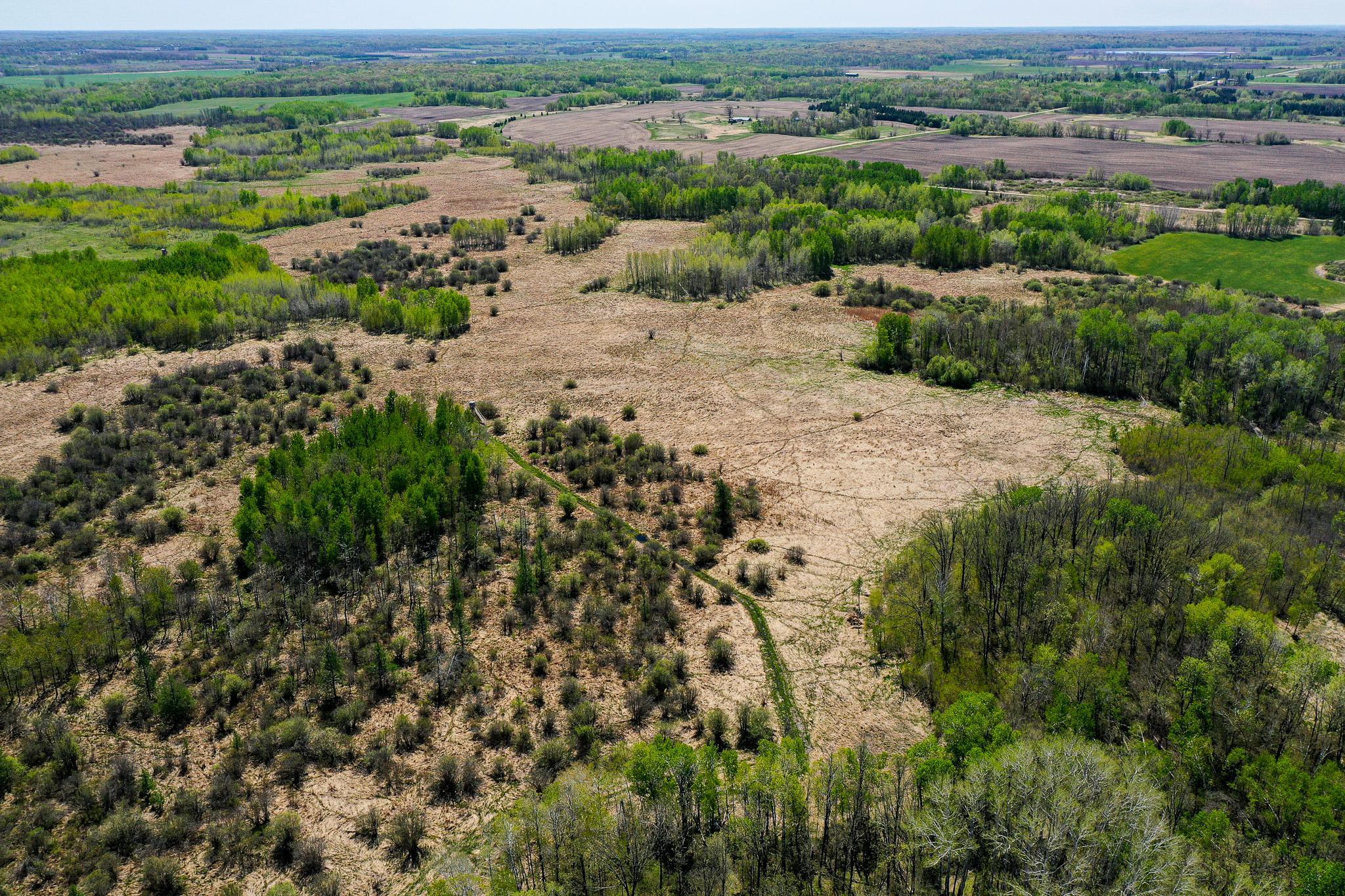 DJI_0605.jpg