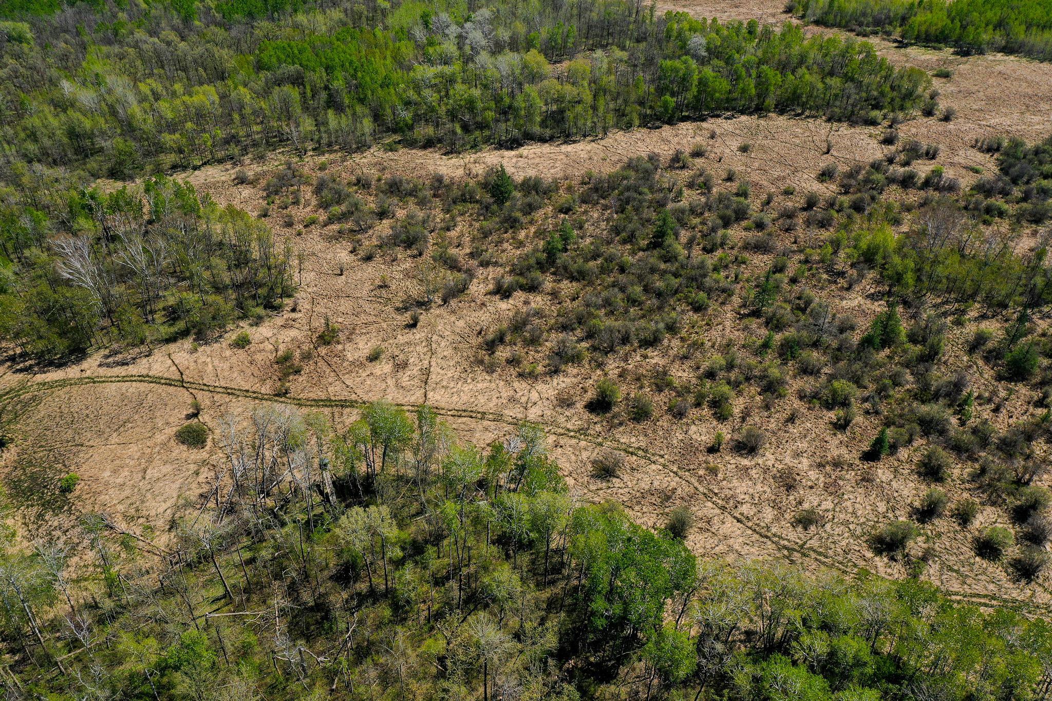 DJI_0603.jpg