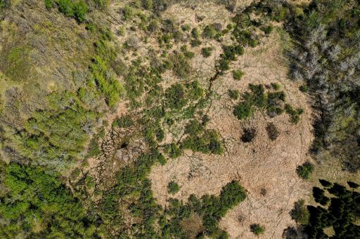 DJI_0579.jpg