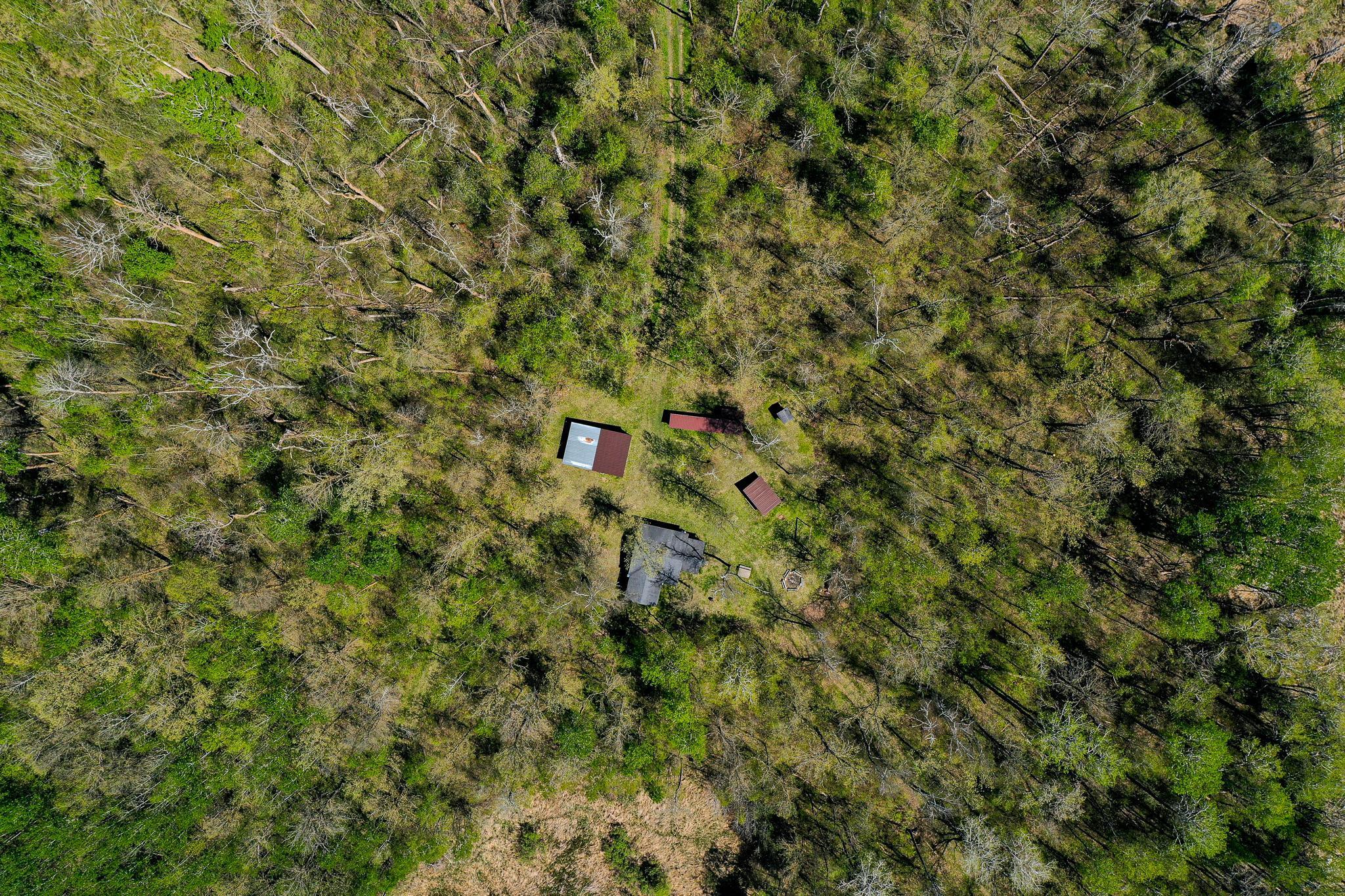 DJI_0599.jpg
