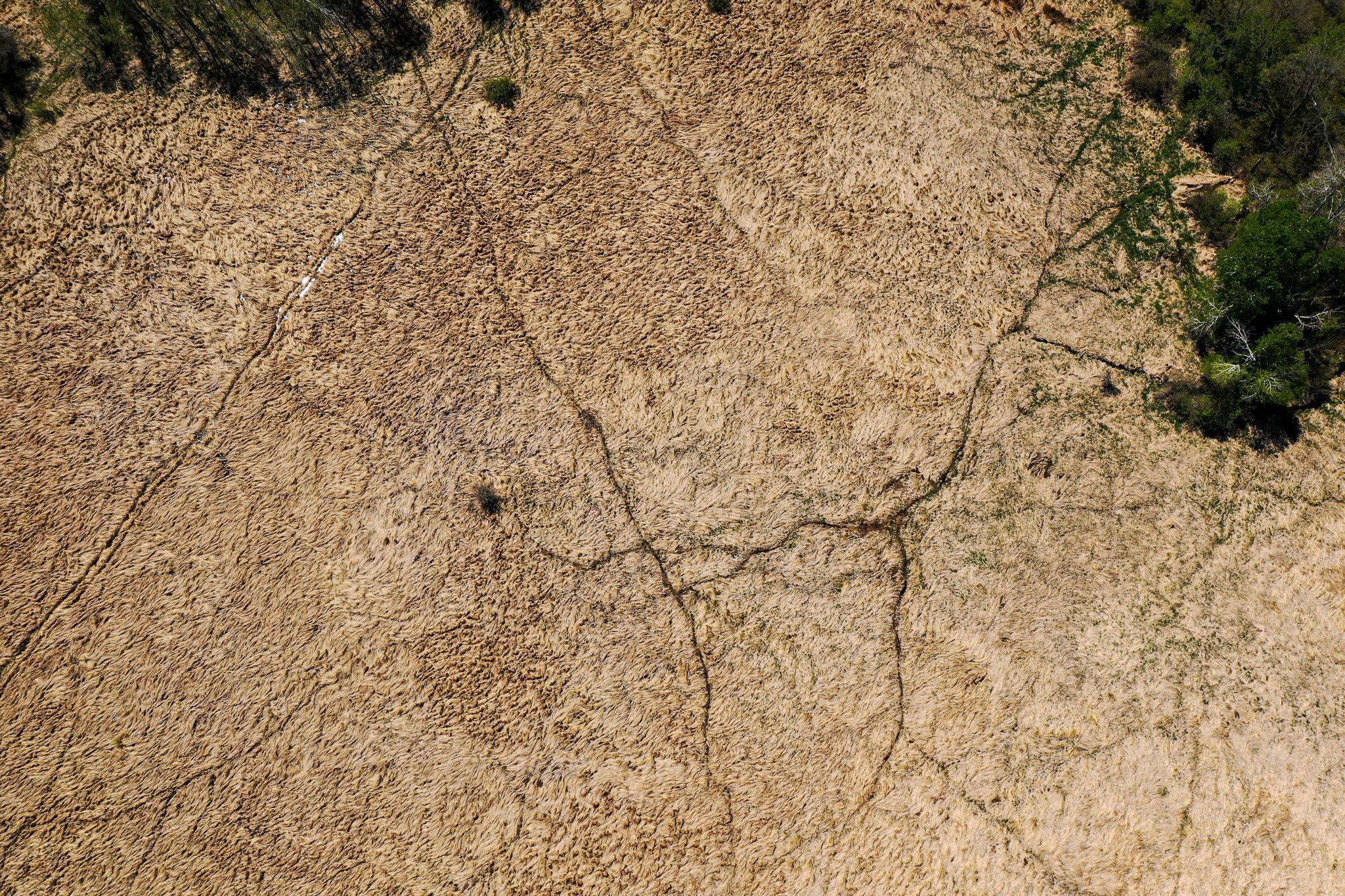 DJI_0587.jpg