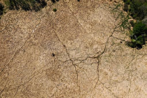 DJI_0587.jpg