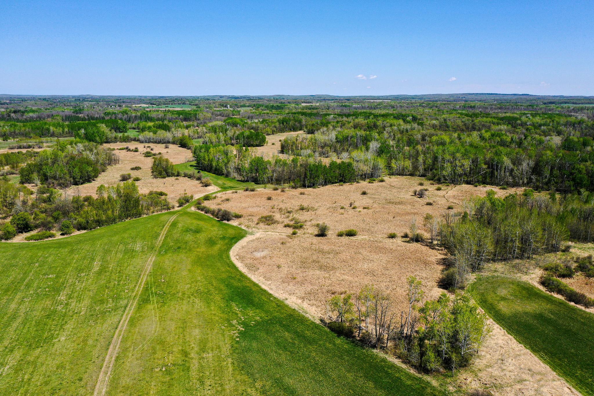 DJI_0611.jpg