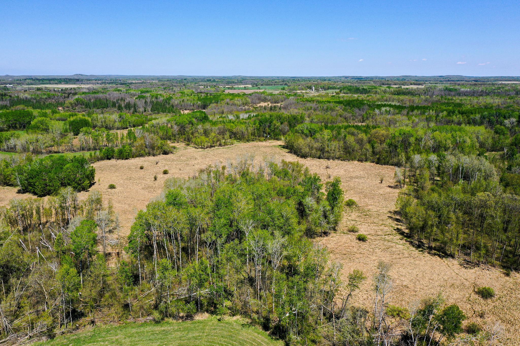 DJI_0619.jpg