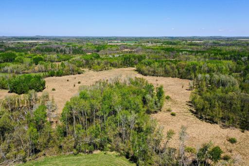 DJI_0619.jpg