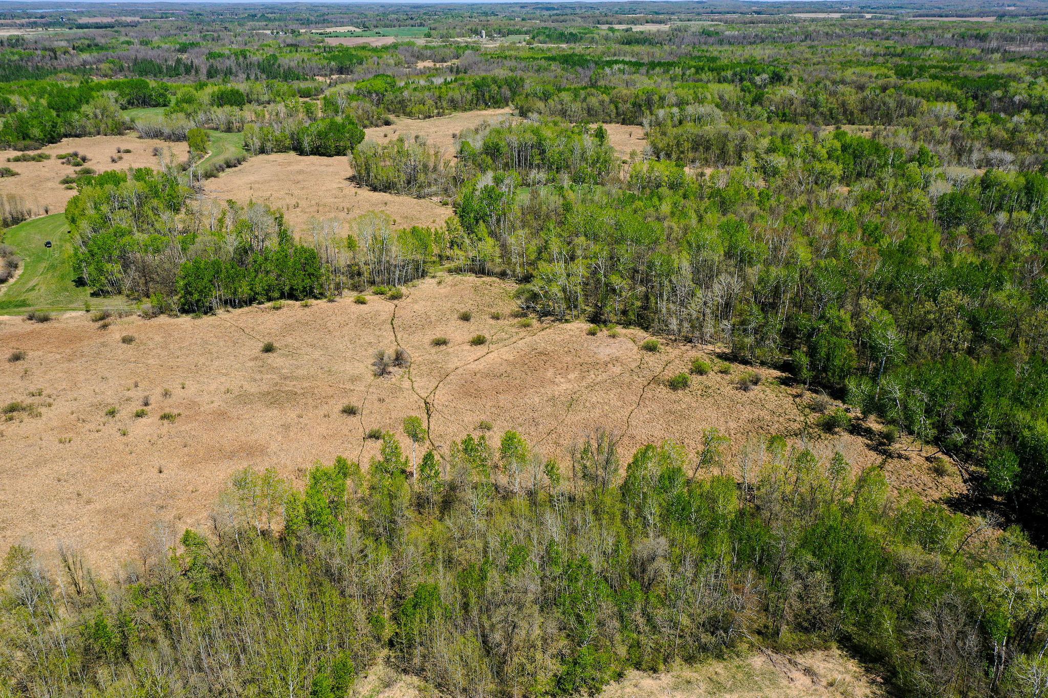 DJI_0616.jpg