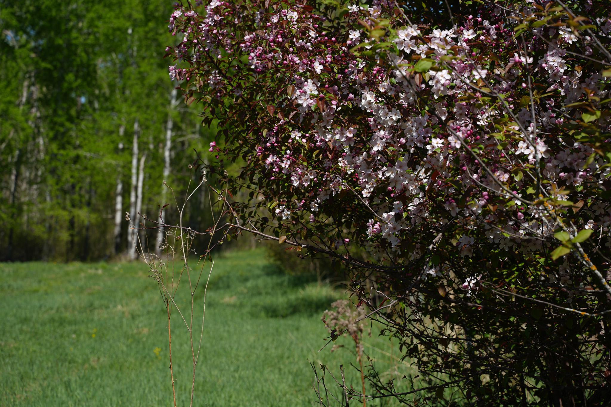 DSC00037.jpg