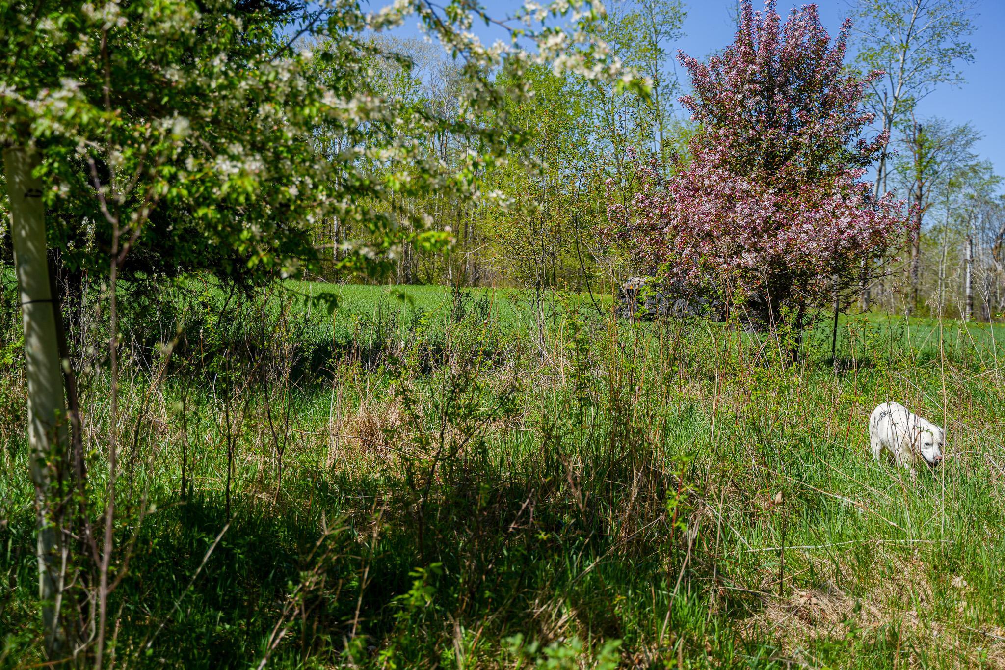 DSC00034.jpg
