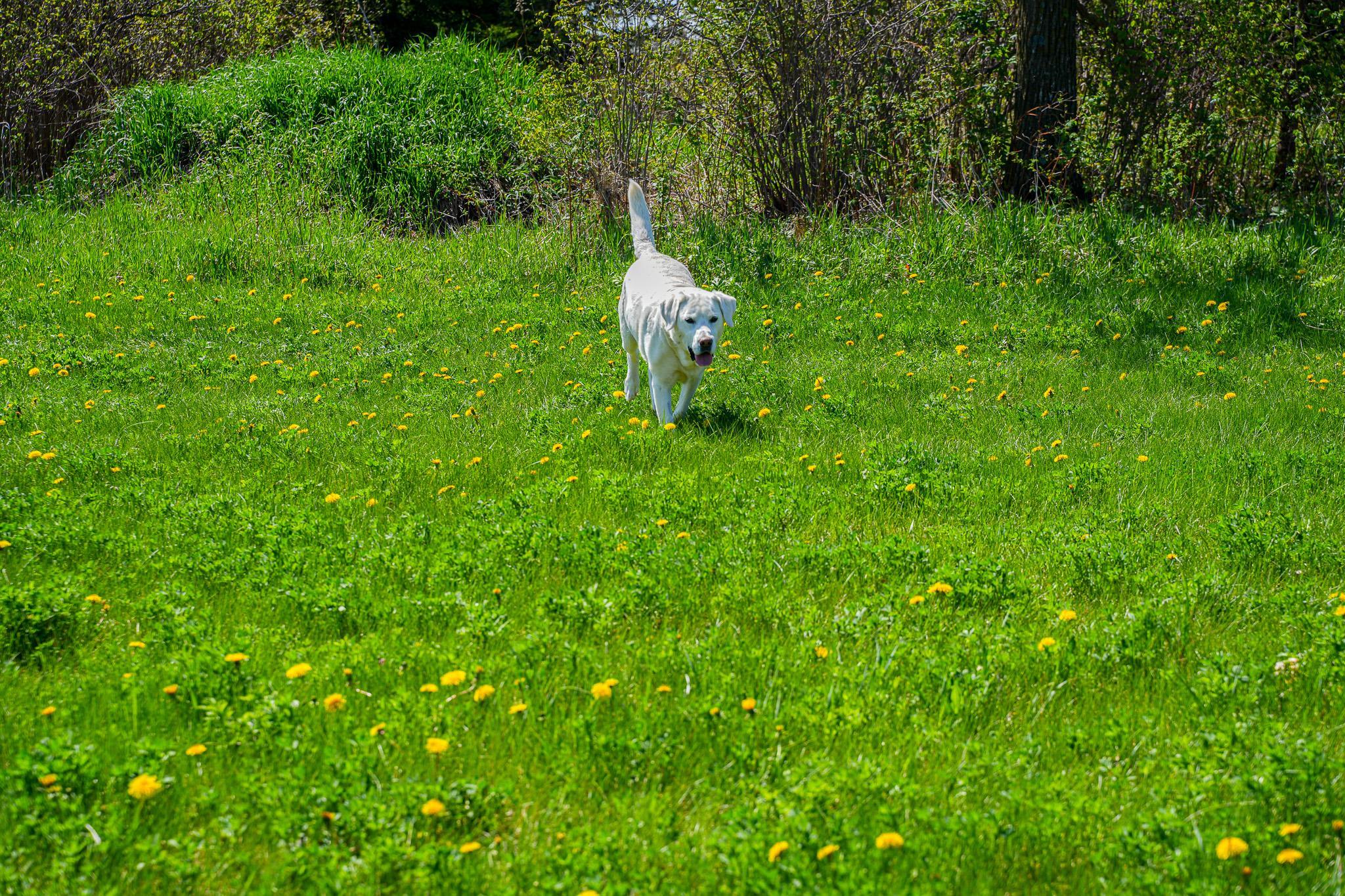 DSC00038.jpg