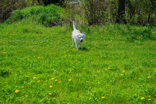 DSC00038.jpg