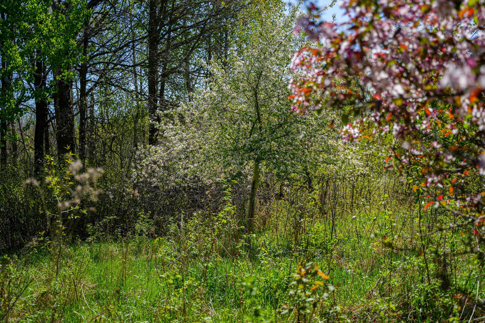 DSC00033.jpg