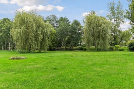 Willow trees provide privacy from the back street