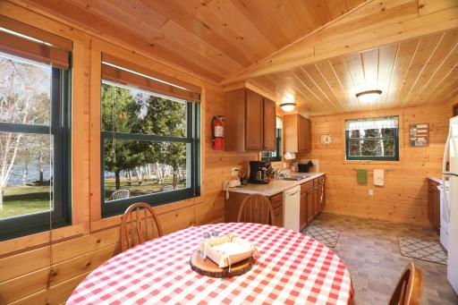 2113 Birch Point Road, Tower, MN 55790