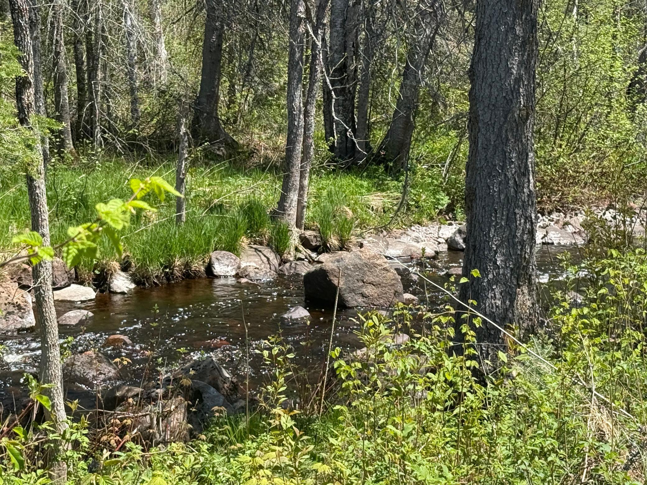 Property photo for TBD Crown Creek Spur Rd, Finland, MN 55603