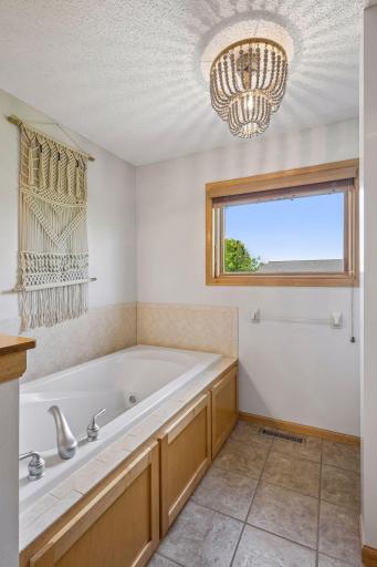 11585 Laketowne View, Albertville, MN 55301