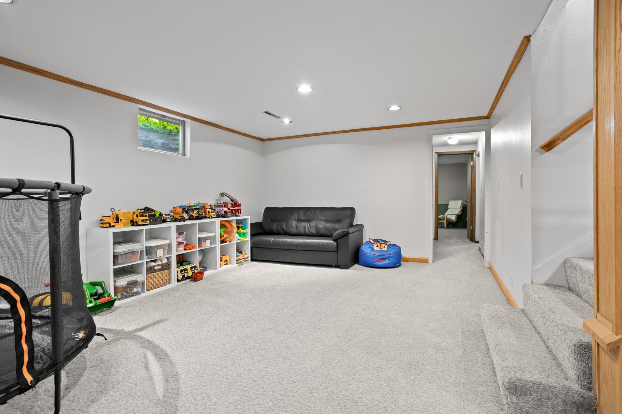 Basement Living Room