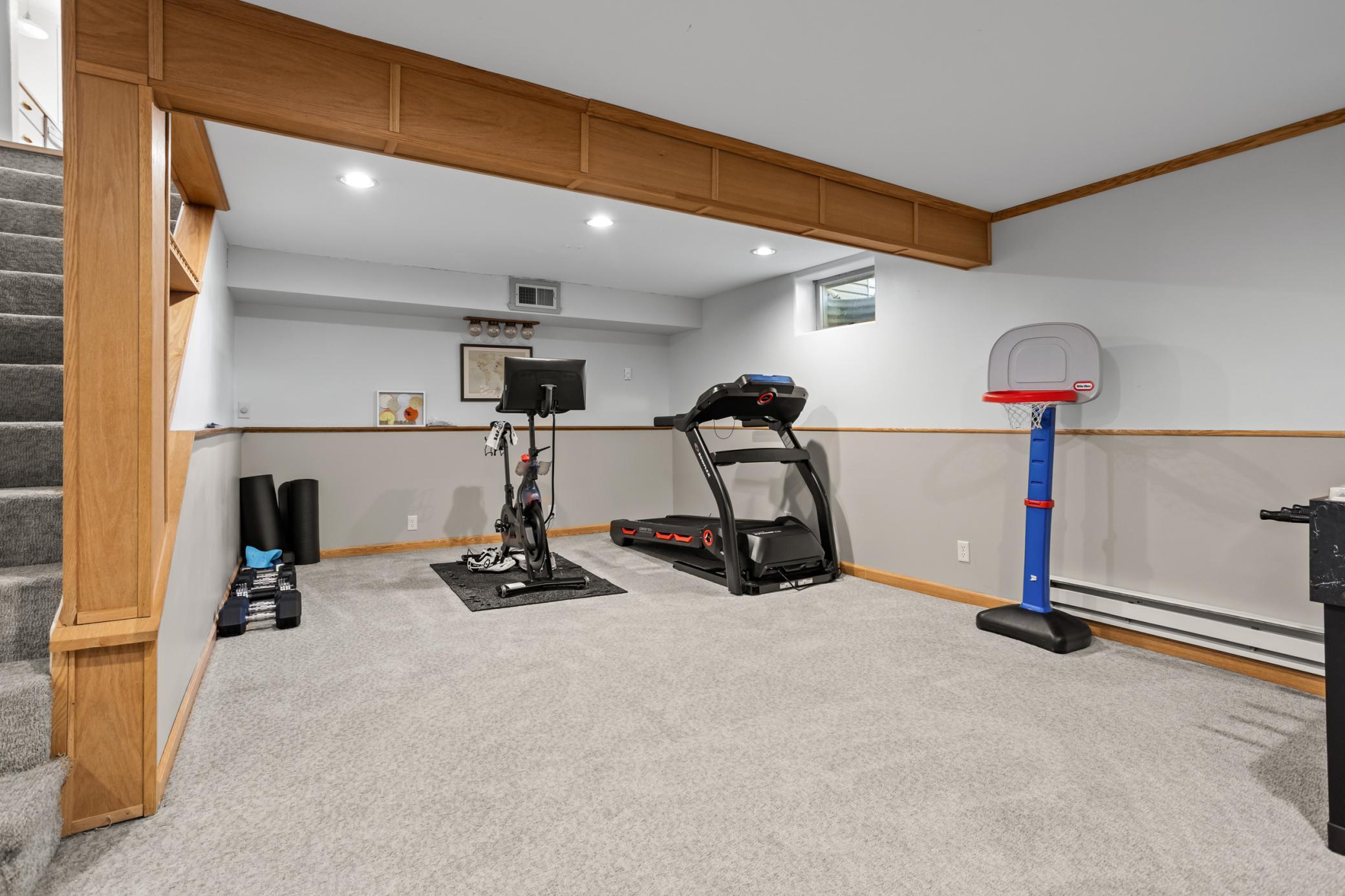Basement Living Room