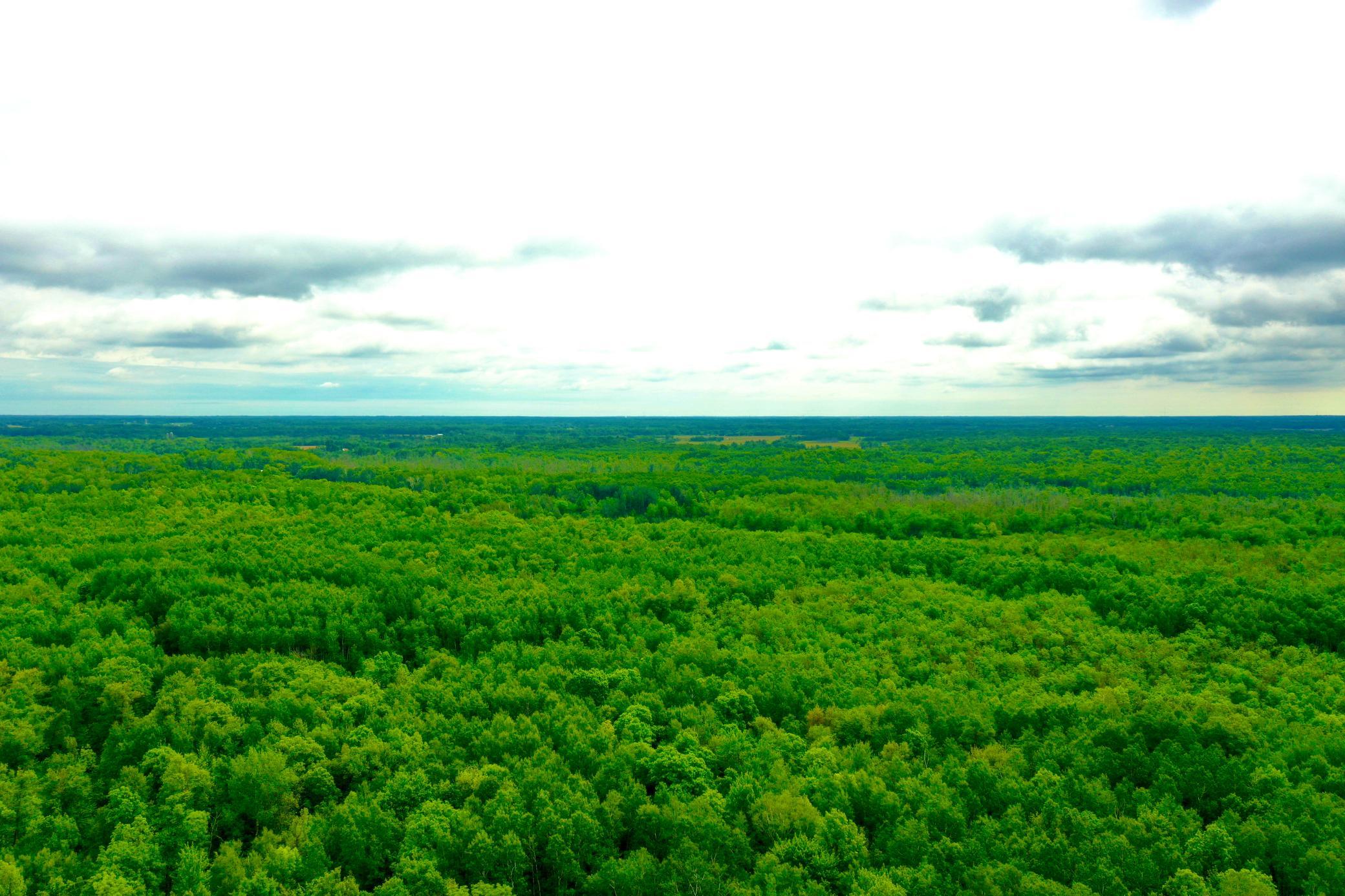 DJI_0216.JPG