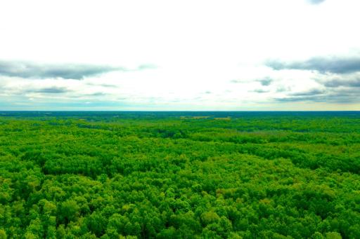 DJI_0216.JPG