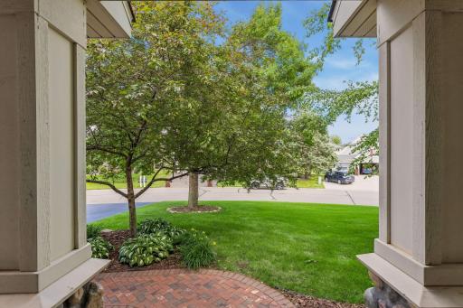 A peek of the front yard from the front stoop.