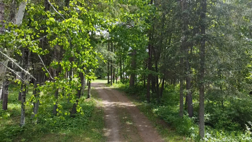 29156 State Highway 47, Aitkin, MN 56431