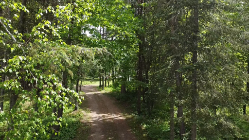 29156 State Highway 47, Aitkin, MN 56431