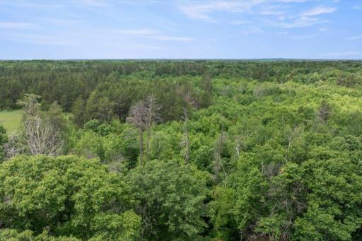 16715 Paul Road, Brainerd, MN 56401