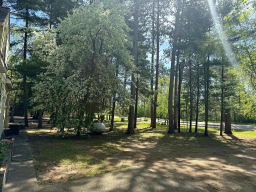 23976 County 80, Nevis, MN 56467