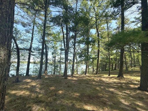 23976 County 80, Nevis, MN 56467