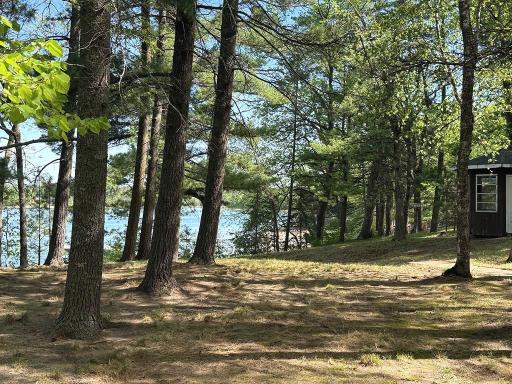 23976 County 80, Nevis, MN 56467