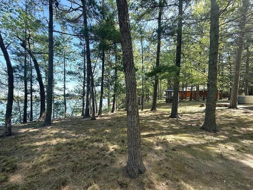 23976 County 80, Nevis, MN 56467