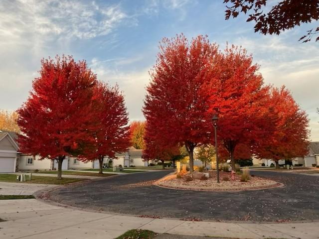Unlike New Construction Areas, with the City Owned Green Space and Trails in Your Back Yard the Only Thing That Changes the Views in This Neighborhood are the Seasons!