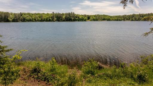 DJI_20260615112415_0026_D - Copy.jpg