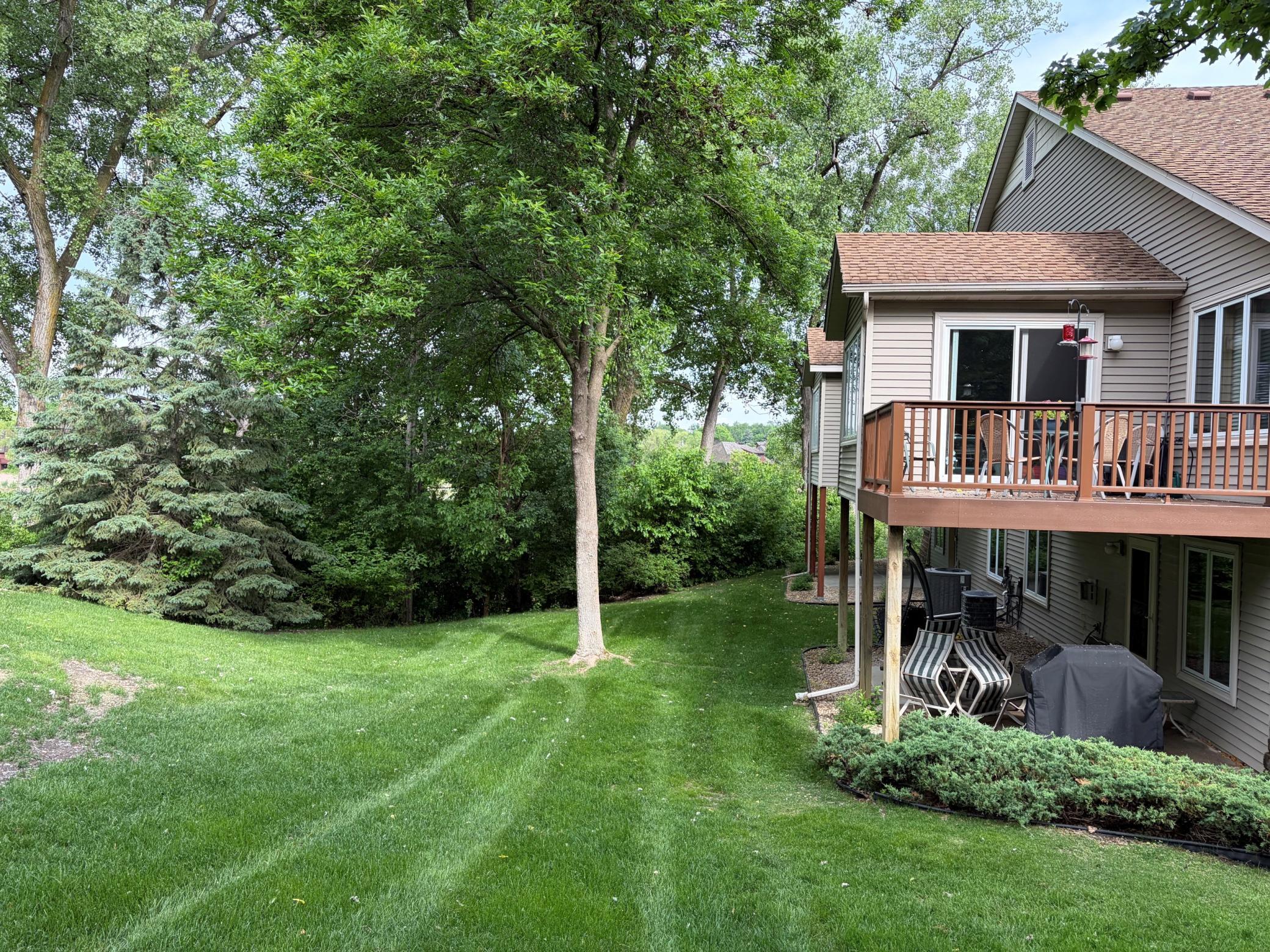 Lush Back Yard