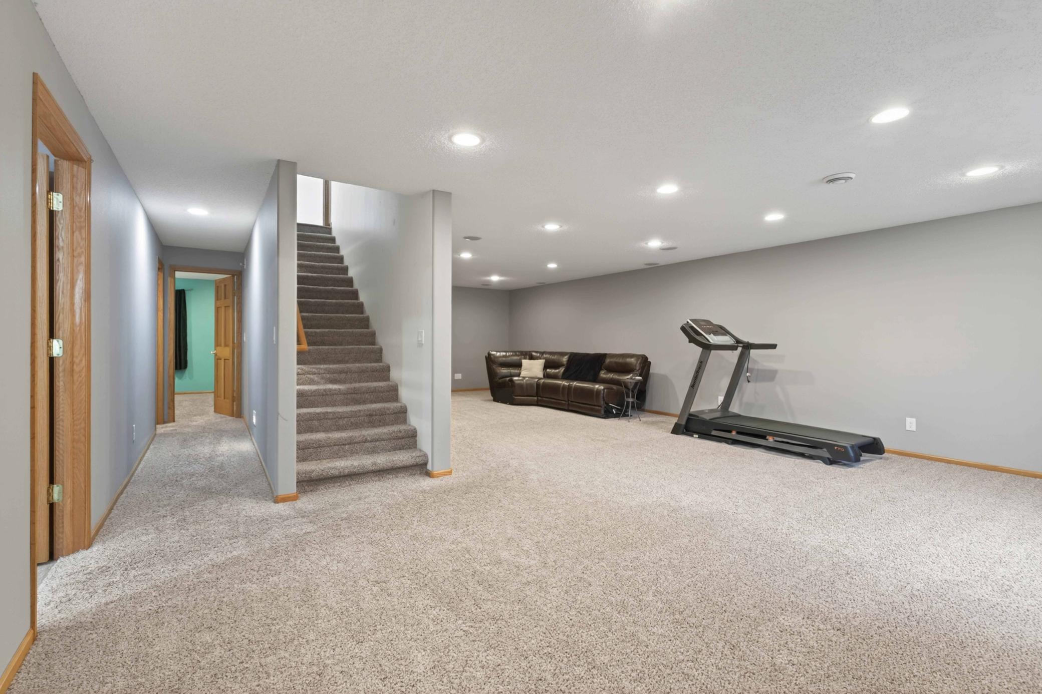LOWER LEVEL FAMILY ROOM