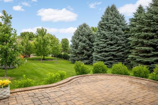 Backyard View - Enjoy the private backyard with mature evergreen trees, expansive green space, and a peaceful setting.