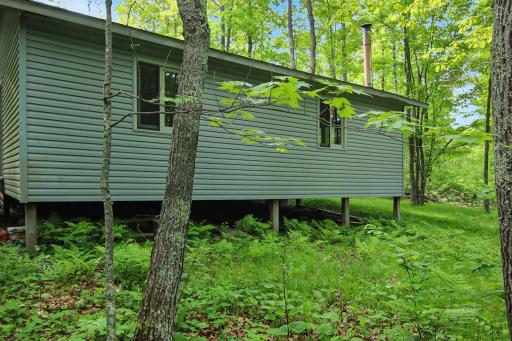 Back of Cabin
