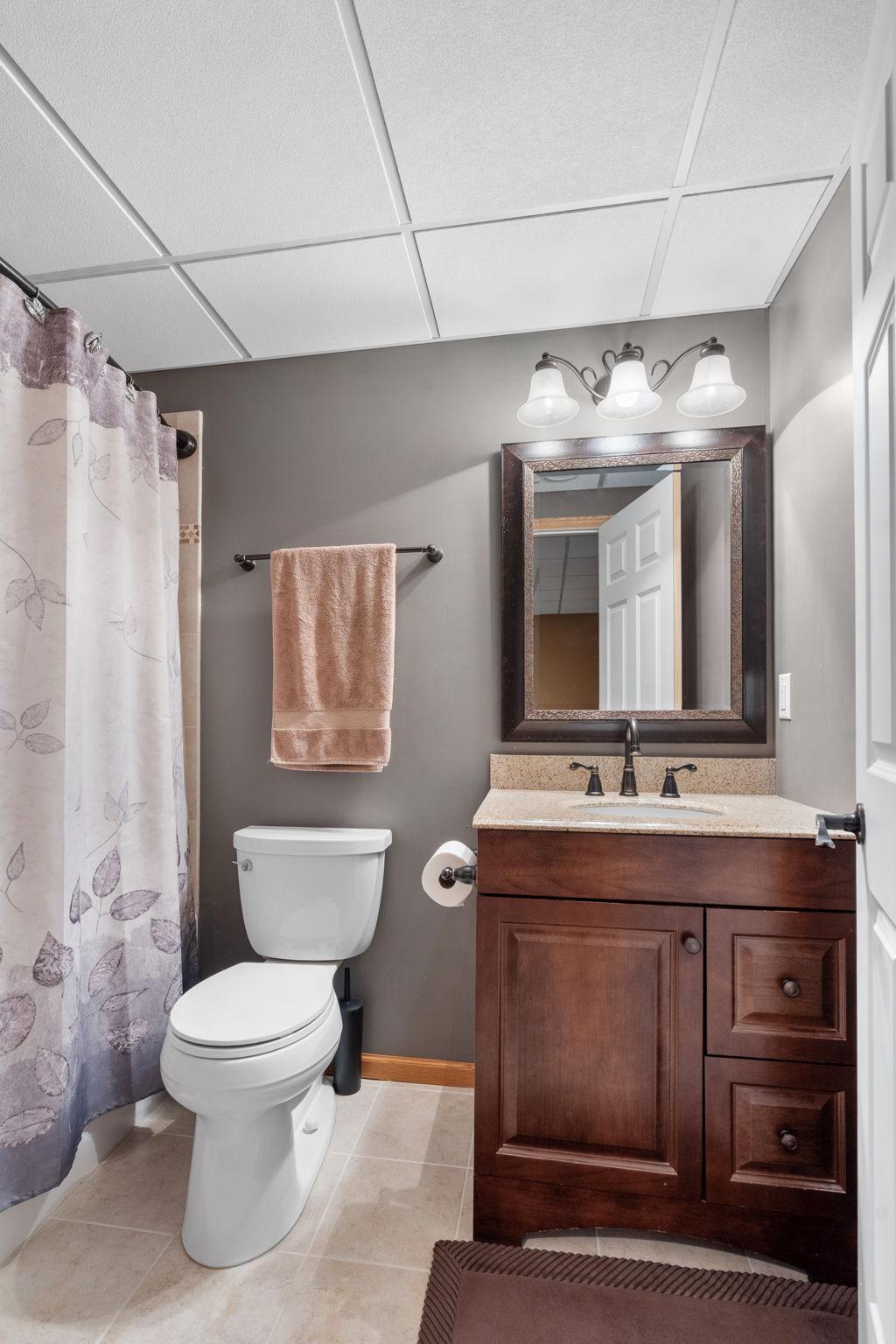 Lower Level Bathroom