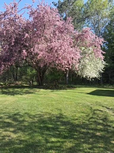 44813 275th Avenue, Laporte, MN 56461
