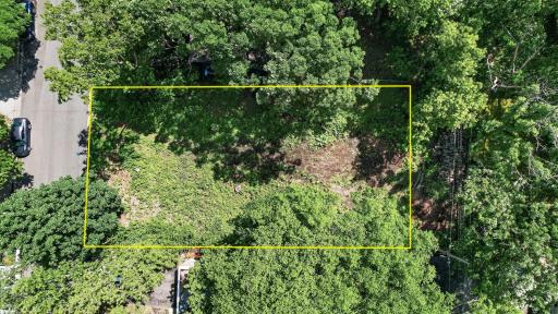 Welcome to St Anthony Park! Extensive tree work has been completed to prepare for the build.